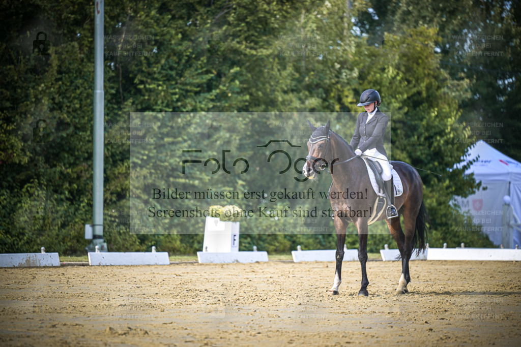 DOS_8656 | Entdecke hochwertige Reitturnierfotos von Foto Oger. Professionell, emotional und authentisch – jetzt Lieblingsmomente im Shop bestellen. - Realisiert mit Pictrs.com