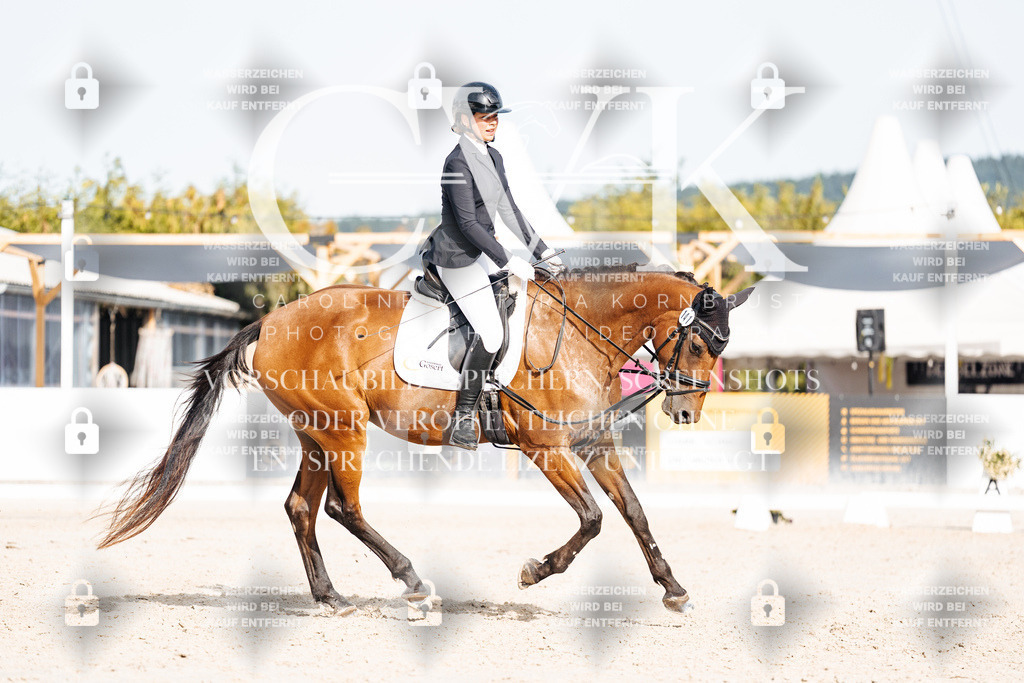 CK904934 | Turnierfotografie Pferdefotografie Trier Rheinland-Pfalz Pferdesport Reitsport Tierfotografie Sportfotografie Pferdevideo Pferdevideografie Equestrianvideography equestrianphotography  - Realisiert mit Pictrs.com