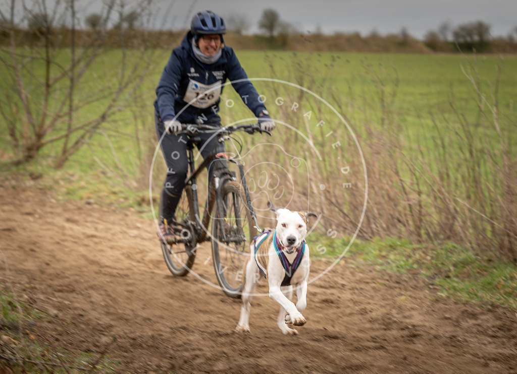 DV3A1608 | Hundefotografie, Tierfotograf, Pfotenfotografie, Fotoshooting Hund, Hunde Portrait, Hundesport, Hundeportraits, Heideshooting, Hunde, Sportfotograf, Hundefotograf, Turnierhundsport, THS,  - Realisiert mit Pictrs.com