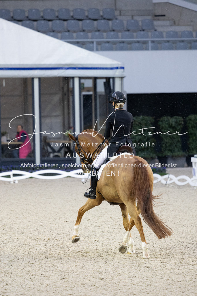 126A3187 | jasminmetznerfotografie