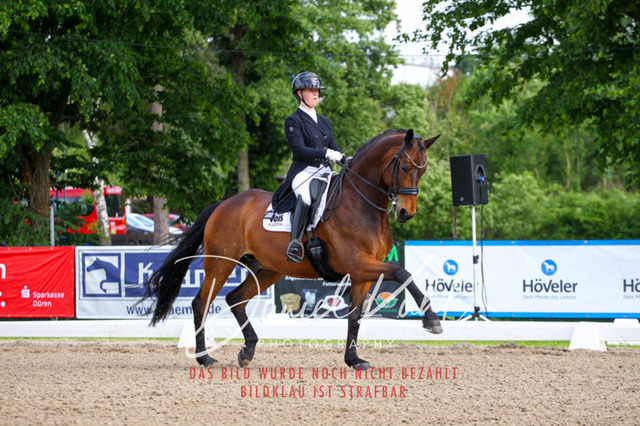 DKP41692 | Deine Turnierfotos vom Reitturnier online kaufen: Dressur, Springen & Siegerehrung. Professionelle Pferdefotografie aus dem Rheinland – als Download & Print.Alternative: Turnierfotograf für den Pferdesport: Finde deine Fotos von Dressur- und Springturnier