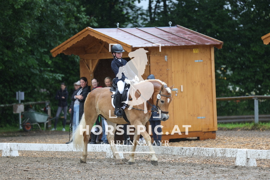 0P6A8628 | Willkommen bei Brunnmayr - Design & Fotografie – Ihrem Spezialisten für Reitturniere und Pferdeveranstaltungen in Oberösterreich, Salzburg und Bayern! Seit über 17 Jahren sind wir leidenschaftlich dabei.