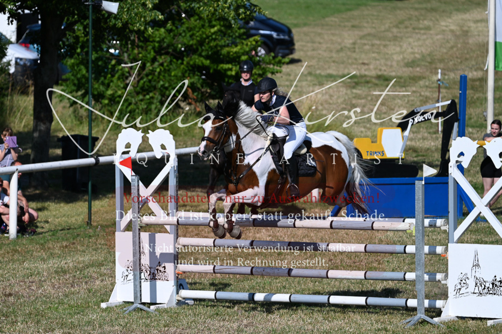 DSC_2407 | Pferde- und Turnierfotografie in Westsachsen. Pferdeportraits, Auftragszeichnungen und intuitive Kunst.