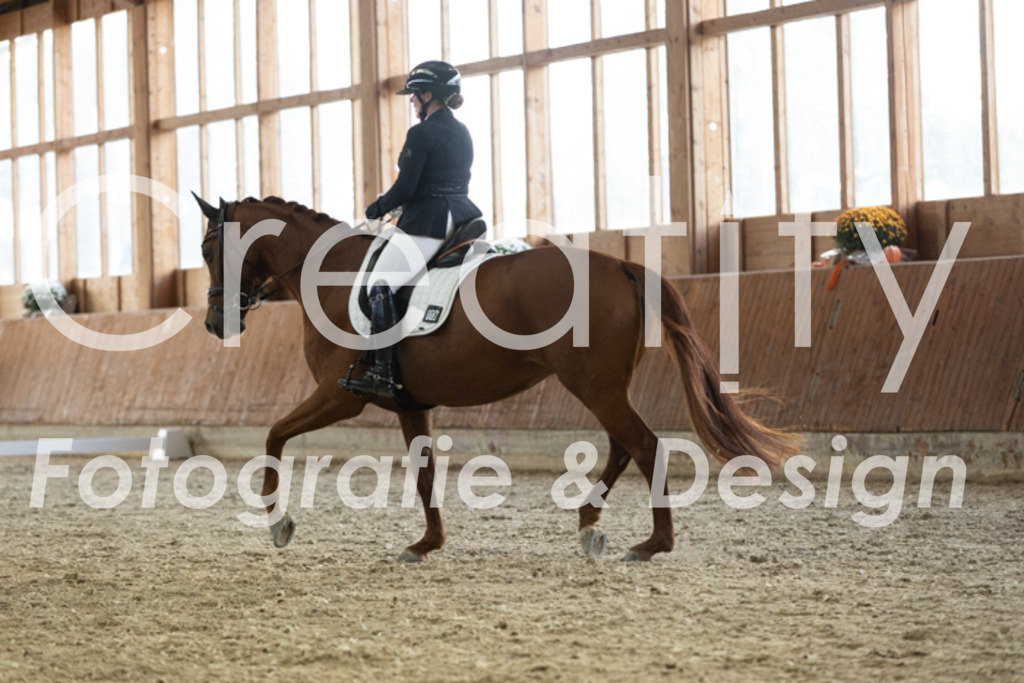 IMG_2965 | Creatify Fotografie