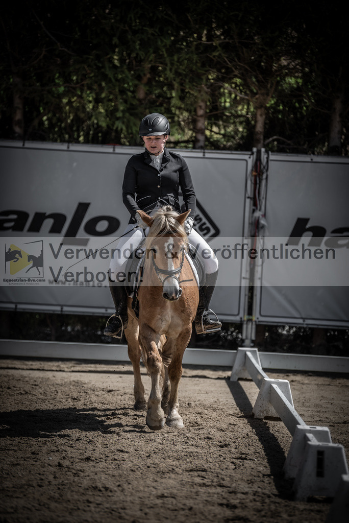 DSC_0652 | equestrian-live-com