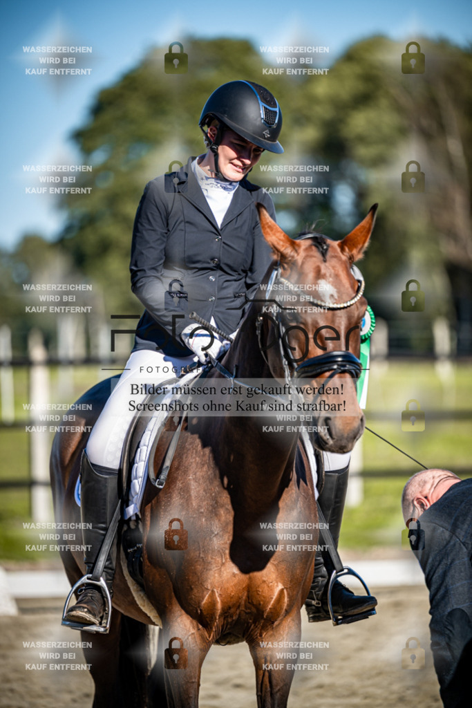 2026-09-Lohne-11-0019 | Entdecke hochwertige Reitturnierfotos von Foto Oger. Professionell, emotional und authentisch – jetzt Lieblingsmomente im Shop bestellen.Deutschlandweite Turnierfotografie. - Realisiert mit Pictrs.com