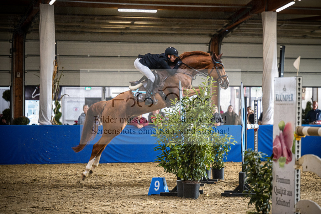 DOS_1363 | Entdecke hochwertige Reitturnierfotos von Foto Oger. Professionell, emotional und authentisch – jetzt Lieblingsmomente im Shop bestellen.Deutschlandweite Turnierfotografie. - Realisiert mit Pictrs.com