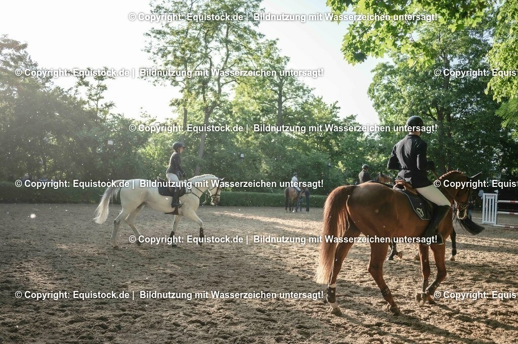 DSC_8692 | equistock