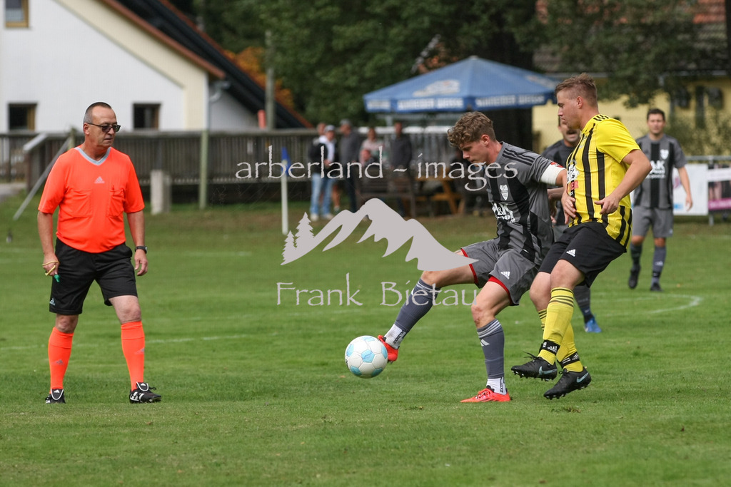 993T3118 | Medien- Sport- Entertainmentfotos