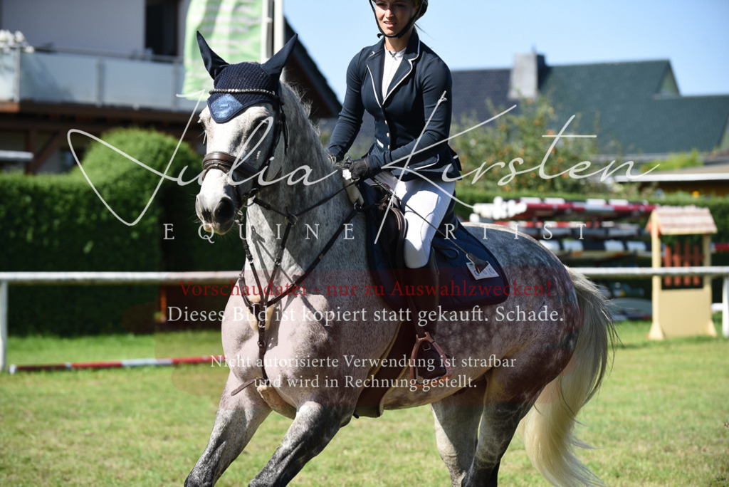 DSC_9130 | Pferde- und Turnierfotografie in Westsachsen. Pferdeportraits, Auftragszeichnungen und intuitive Kunst.