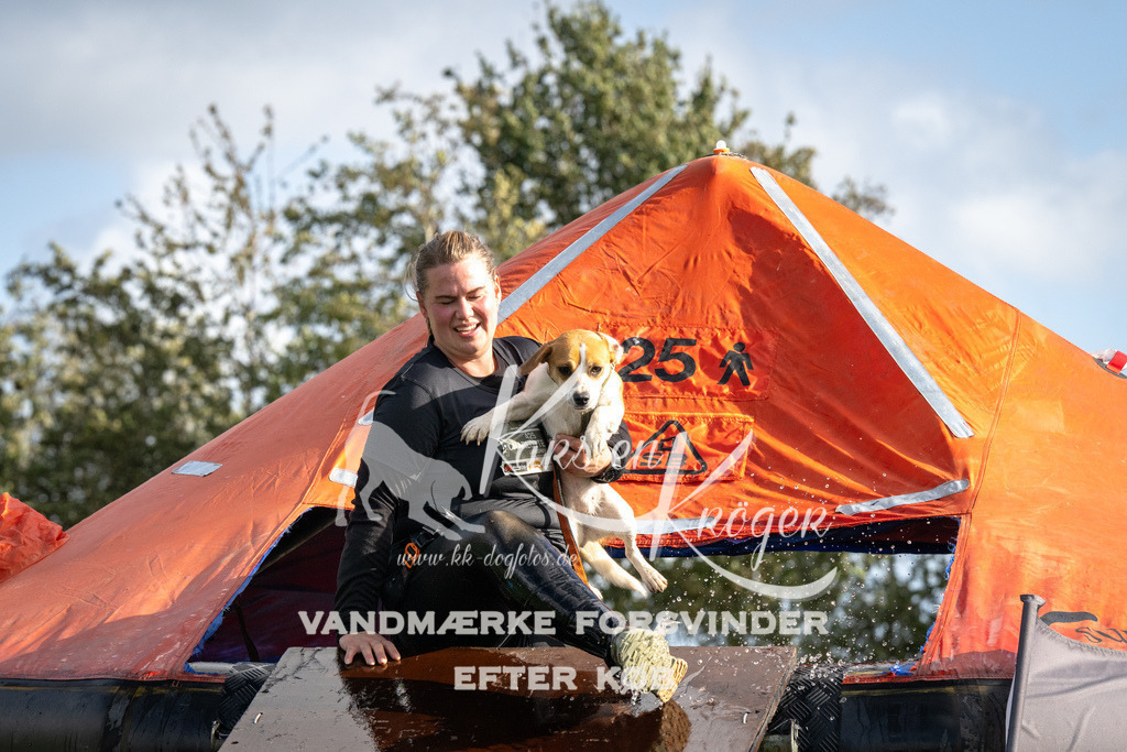 1401-93563 | kk-dogfotos