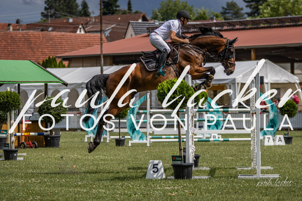 IMG_7143 | Erleben Sie dynamische Sport- und emotionale Tierfotografie in Süddeutschland mit Fotos von Paula. Spezialisiert auf Pferde- und Hundefotografie sowie Sportevents. Kontaktieren Sie mich für einzigartige und ausdrucksstarke Bilder Ihrer besonderen Momente. - Realisiert mit Pictrs.com