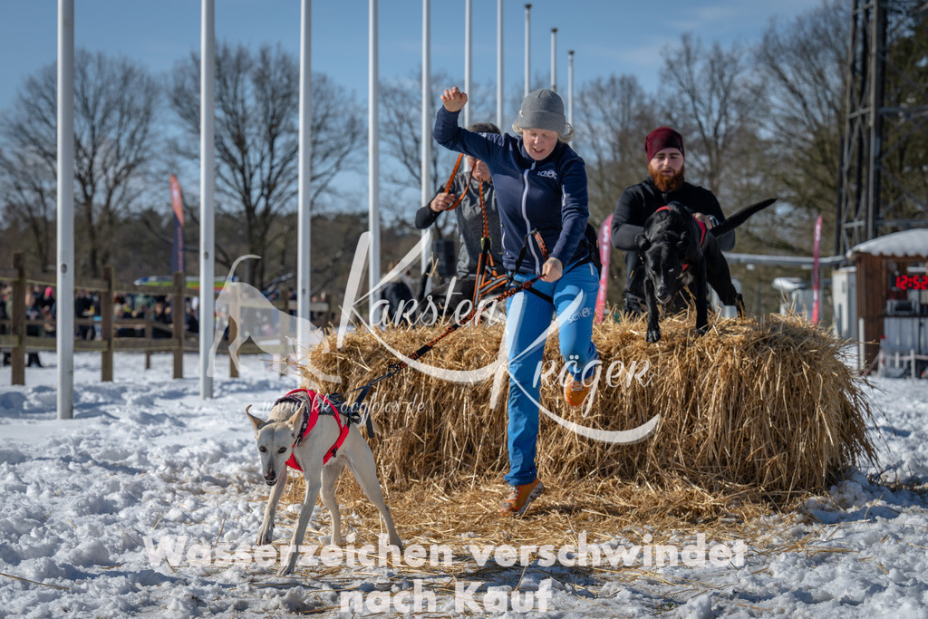 1252_ZZ92840-3 | kk-dogfotos