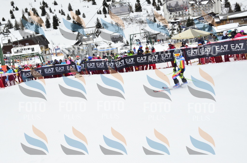 _ELE3974 | holidayphoto