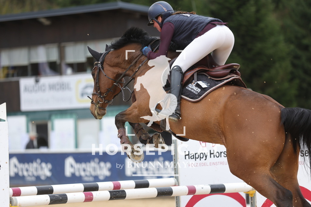 0P6A2182 | Willkommen bei Brunnmayr - Design & Fotografie – Ihrem Spezialisten für Reitturniere und Pferdeveranstaltungen in Oberösterreich, Salzburg und Bayern! Seit über 17 Jahren sind wir leidenschaftlich dabei.