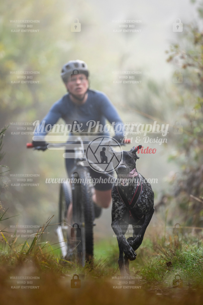 MompixPhotography_20TSB_E4_DS1-22 | PayLife