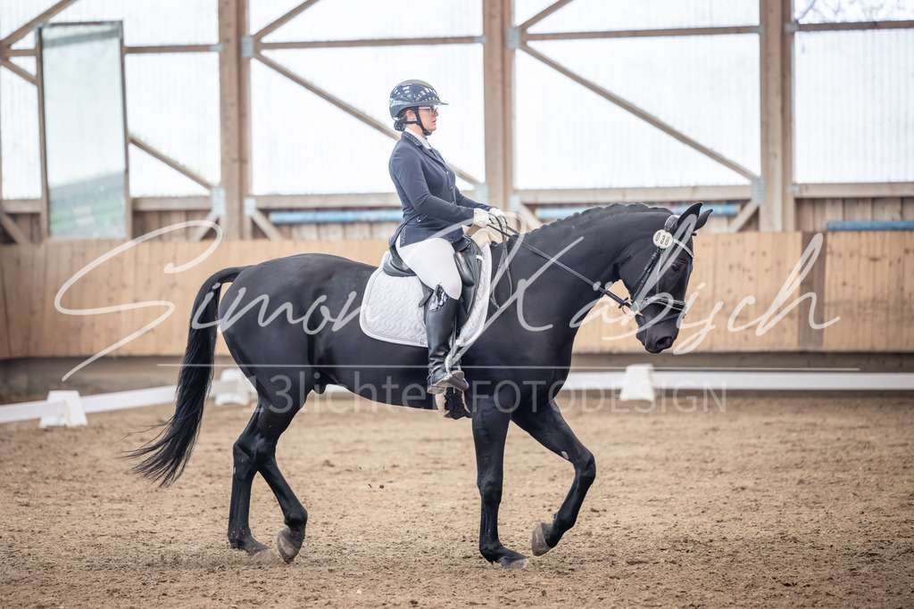 20251011-_3LI0332 | Tierfotografie Pferde, Hunde, Katzen, Haustiere.
Turnierfotografie Reitturniere, Reiten, Springreiten, Dressur in Hanau, dem Main-Kinzig-Kreis und dem Rhein-Main- Gebiet um Frankfurt