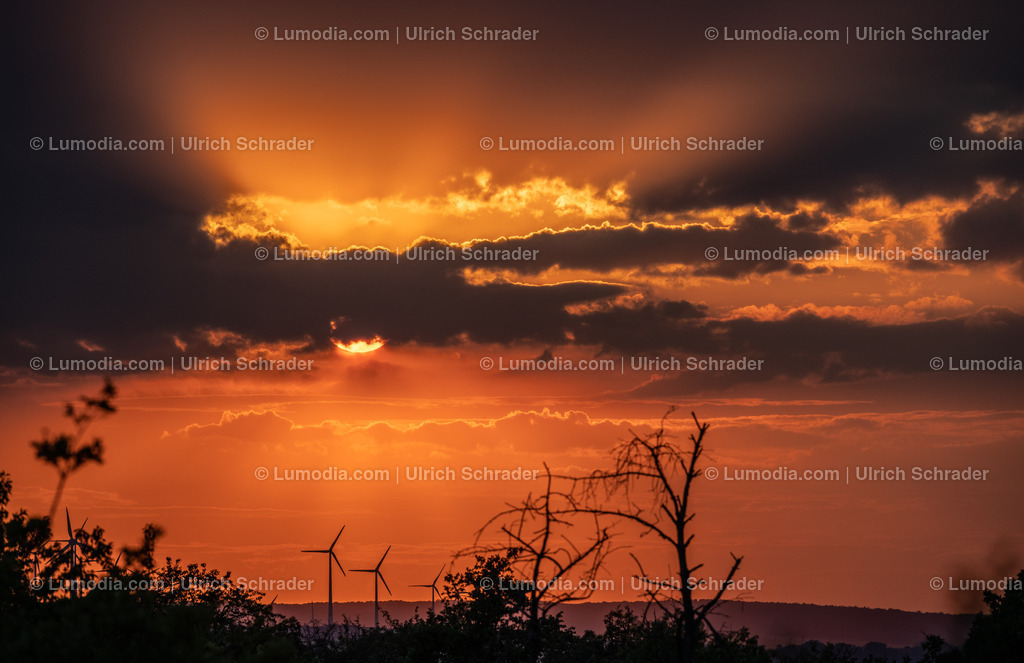 10049-12576 - Sonnenuntergang | Stockfoto und Bilderpool mit Bildmaterial aus Deutschland, dem Harz, Halberstadt, Quedlinburg, Wernigerode und weltweit. Qualitativ hochwertige und professionelle Fotos anschauen und kaufen. - Realisiert mit Pictrs.com