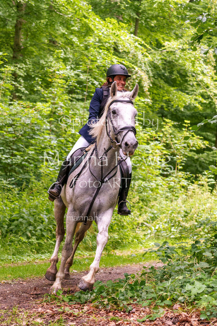 Jagd Knoop 26_MarinaHewigMCH02471 | Fotografie, FotoArt, PferdesportArt, Pferdesportfotografie, Landschaftsfotografie, Reisefotografie, Reise, Pferde - Realisiert mit Pictrs.com