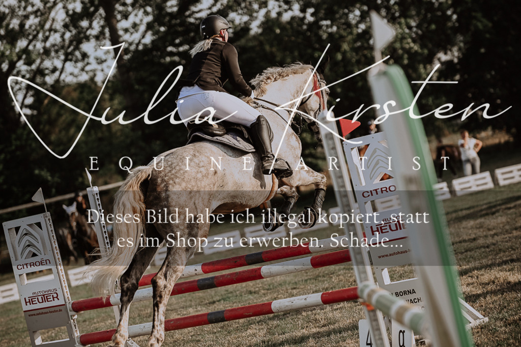 DSC_0408 | Pferde- und Turnierfotografie in Westsachsen. Pferdeportraits, Auftragszeichnungen und intuitive Kunst.