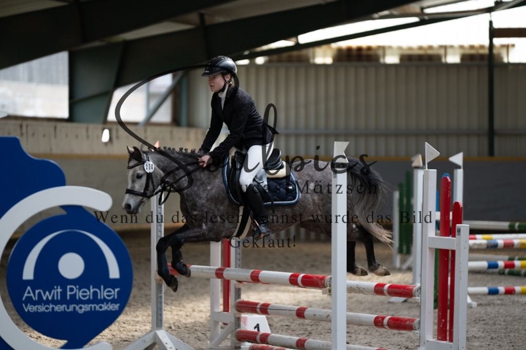 A7V07913 | Pferdefotograf