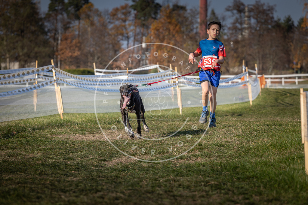 CaniXpix_0L8A8880 | Hundefotografie, Tierfotograf, Pfotenfotografie, Fotoshooting Hund, Hunde Portrait, Hundesport, Hundeportraits, Heideshooting, Hunde, Sportfotograf, Hundefotograf, Turnierhundsport, THS,  - Realisiert mit Pictrs.com