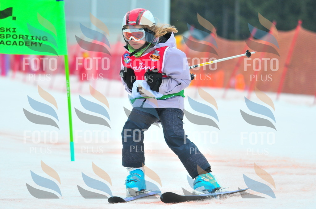 C0424 | holidayphoto