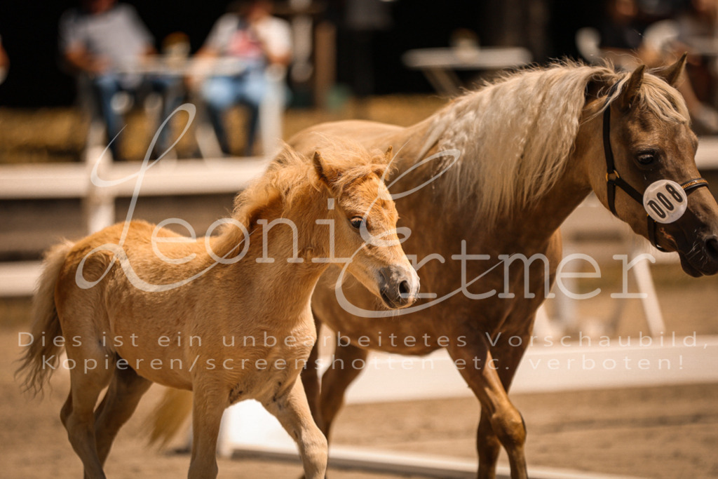 02.DoSR00022 | Leoni Ertmer Photography - Realisiert mit Pictrs.com