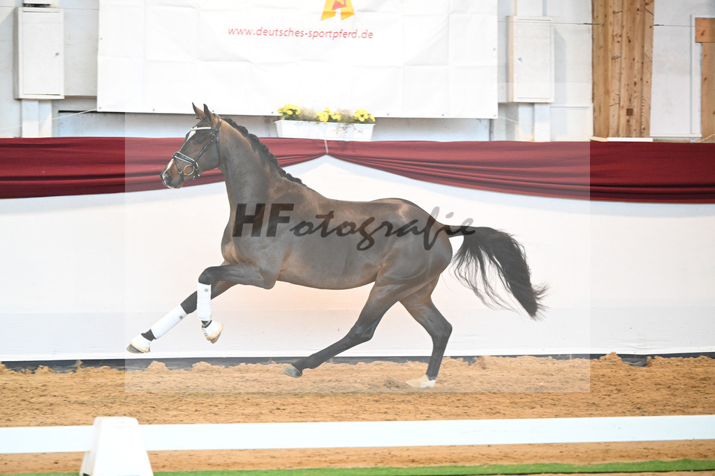 Kat-Nr. 61 v. Goldberg_Reglauer_66222038 | hf-fotografie - Realisiert mit Pictrs.com