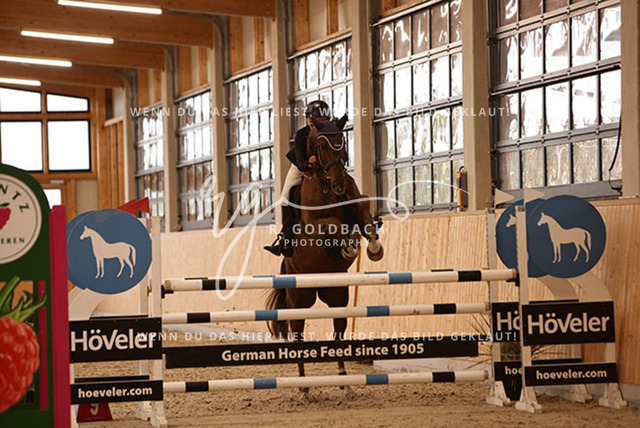 1J2A9243Rica Marlene Scholz_ Diego_s - Baloubet_ Kn219_ Glantz_ Hohen Wieschendorf | Foto- und Videografie für alles rund ums Pferd. Hochwertige Bilder und Videos vom Spring- und Dressurreiten, Voltigieren & mehr. Jetzt aktuelle Veranstaltungen und Preise im Shop ansehen. - Realisiert mit Pictrs.com