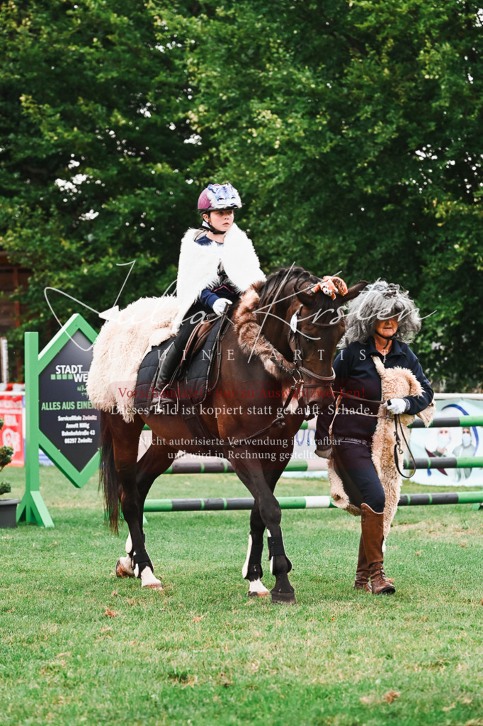 DSC_7570 | Pferde- und Turnierfotografie in Westsachsen. Pferdeportraits, Auftragszeichnungen und intuitive Kunst.
