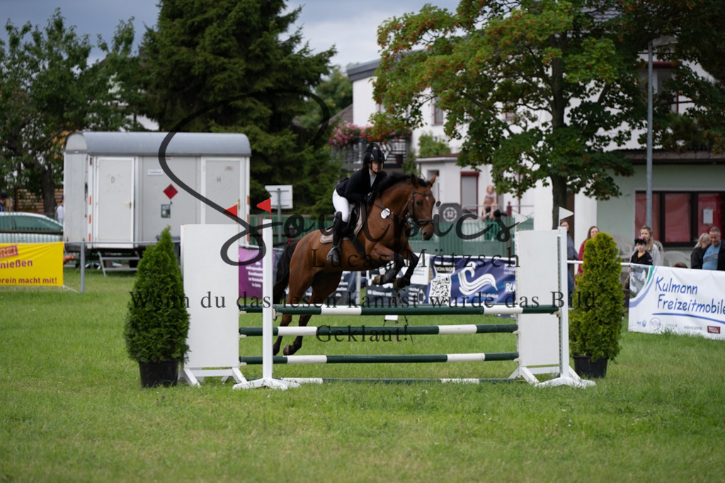 A7V03961 | Pferdefotograf