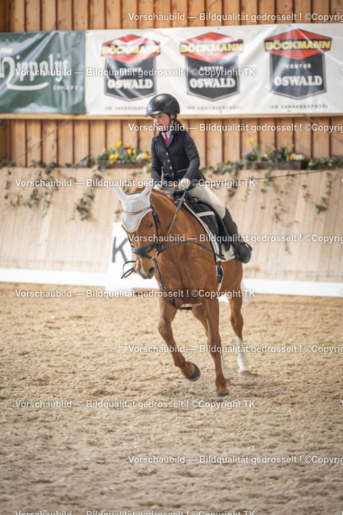 _D5A5732 | Emotionale Pferde- & People-Fotografie rund um Heidelberg, Leimen & Umgebung. Natürliche Fotos von Pferd, Mensch & Familie. Jetzt Termin sichern!