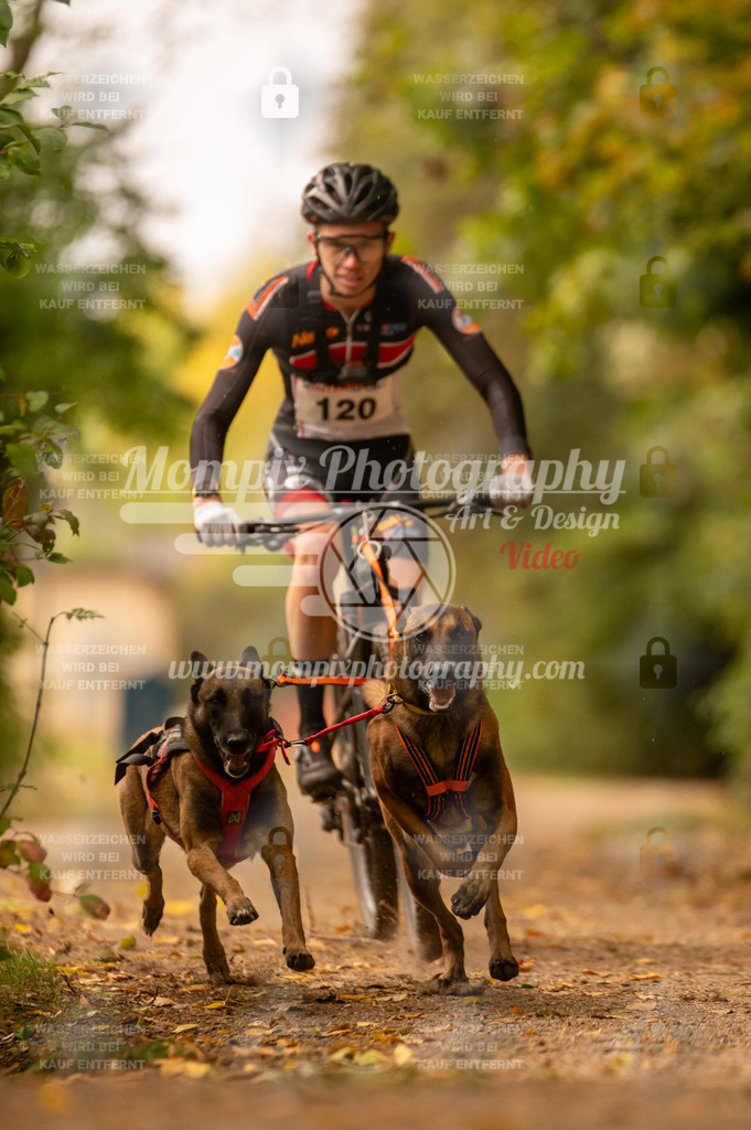 CDLBDB_14_10_2023_Samedi-187 | PayLife