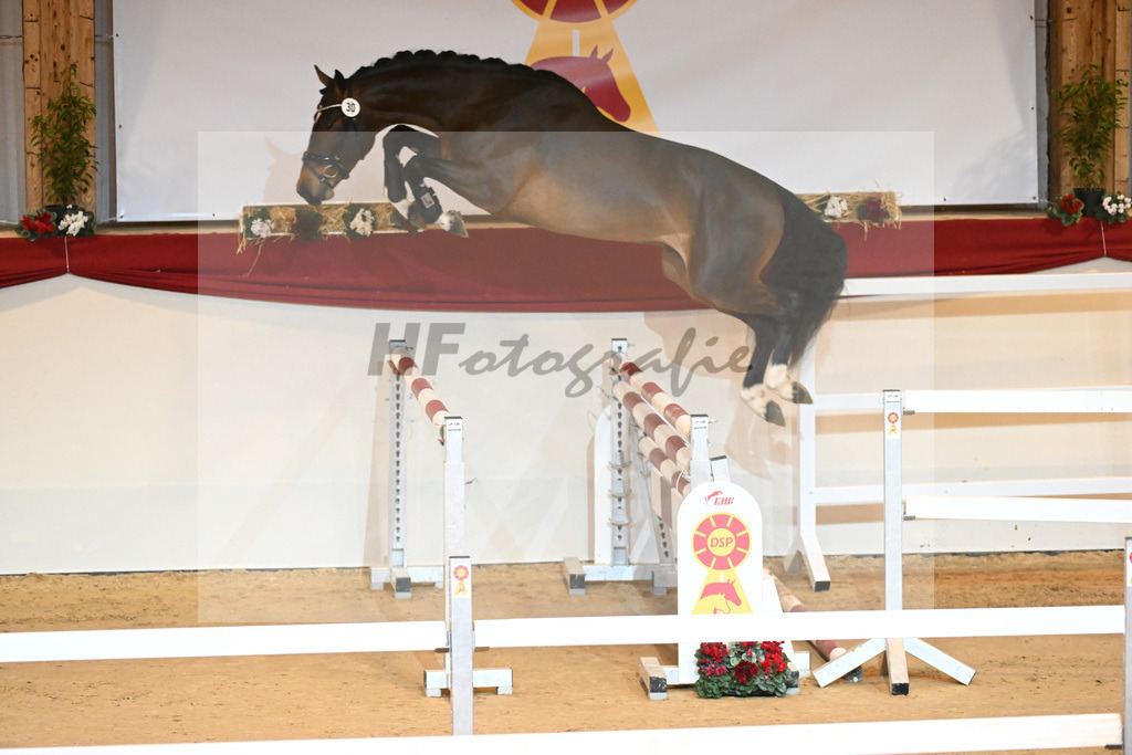 Kat-Nr. 30 Opium v d Moerhoeve_Keppel_1230971 | hf-fotografie - Realisiert mit Pictrs.com