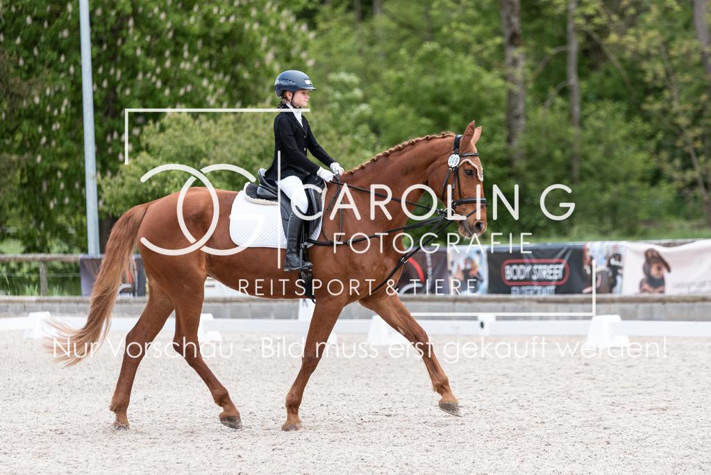 DSC_6560 | Turnierfotografin Carolin Gieschke, Turnierfotografie Carolin G Fotografie, Turnierfotos Kirchheim/Teck, Esslingen, Stuttgart, Bodenseekreis
