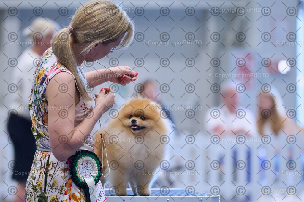 202406_ÖKV-IHA-Tulln24_DSC_4450 | proPHOTO - Realisiert mit Pictrs.com