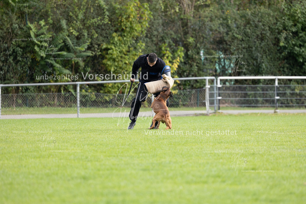 _16A7051 | Einzigartige Fotos von Hunden & Menschen –Actionfotos, Portraits, Vereinsaufnahmen & Paarshootings – authentisch, lebendig & mit Herz.