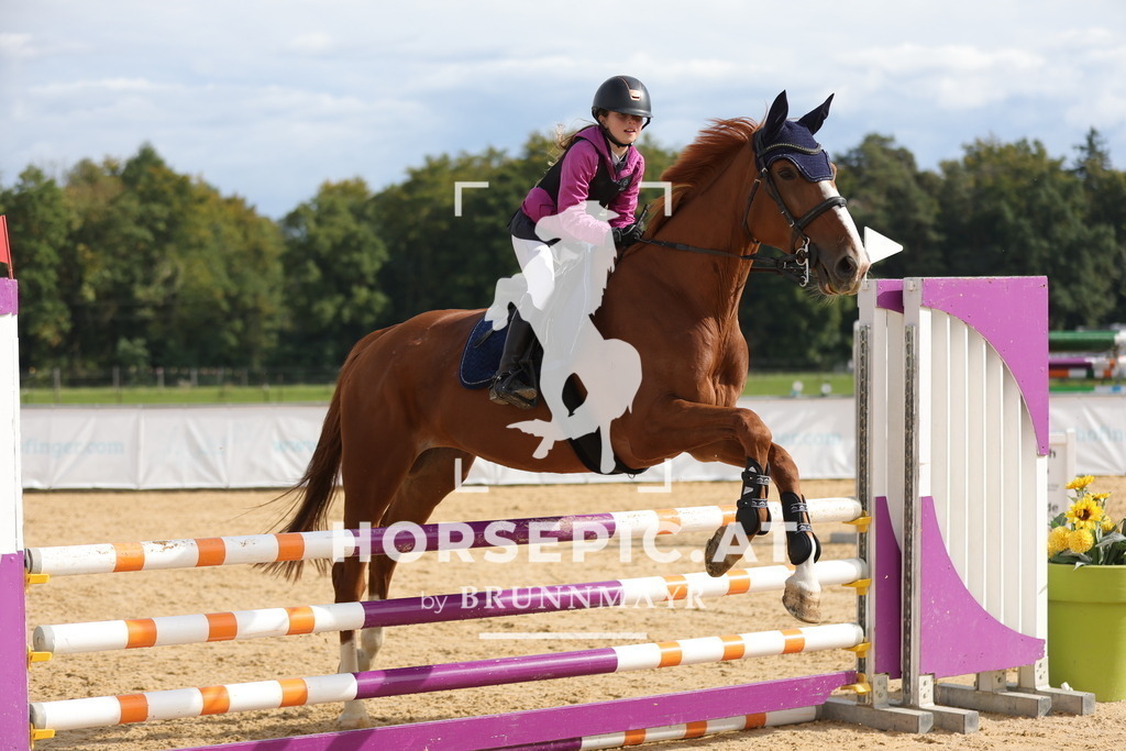 0P6A4530 | Willkommen bei Brunnmayr - Design & Fotografie – Ihrem Spezialisten für Reitturniere und Pferdeveranstaltungen in Oberösterreich, Salzburg und Bayern! Seit über 17 Jahren sind wir leidenschaftlich dabei.