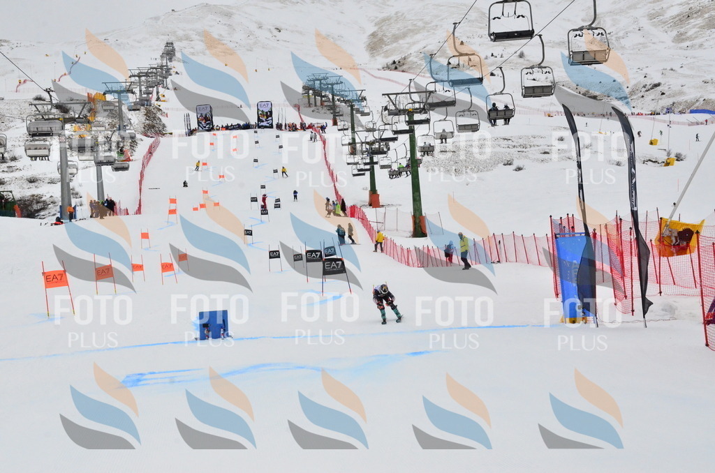 _ELE3799 | holidayphoto