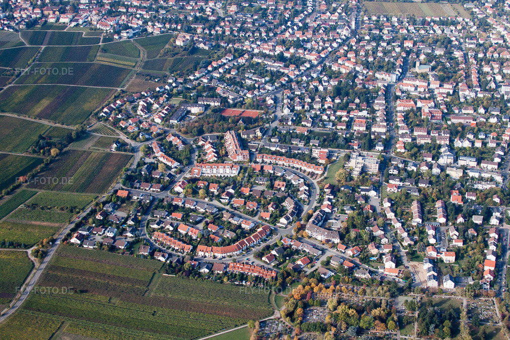 Luftbild: Maconring in Neustadt an der Weinstraße im Bundesland Rheinland-Pfalz in Deutschland. Foto: IMG_22079.jpg vom 15.10.2009 durch Werner Riehm/FLY-FOTO.de