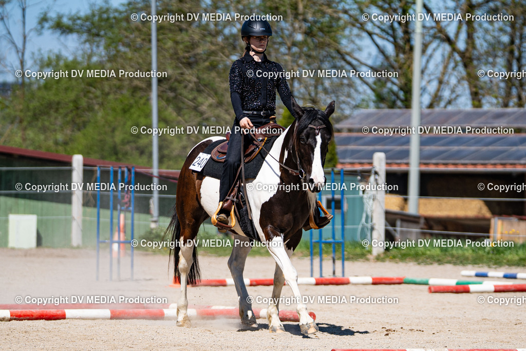 Balingen Tag 1-1070 | dv-media-shop - Realisiert mit Pictrs.com