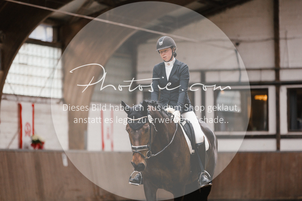 3I6A6801 | Stimmungsvolle Portraits und Reitsportfotografie im Ruhrgebiet und im Münsterland.

Pferdefotografie, Hundefotografie, Tierfotografie, Reportagen, Portraits von Tier und Mensch, Turnierfotografie in Bochum, Recklinghausen, Marl, Haltern am See, Dülmen.. - Realisiert mit Pictrs.com