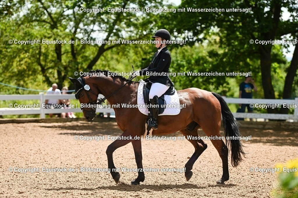 20230716_03_Dressurprfg. Kl.L - Tr._0082 | equistock