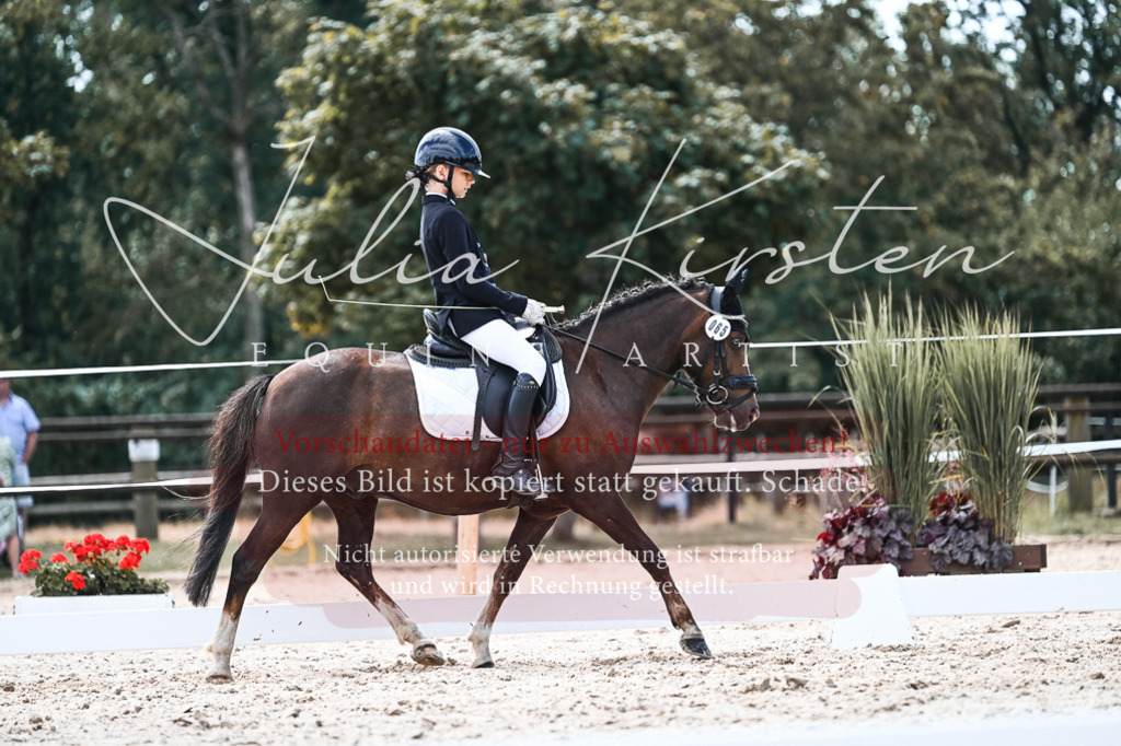 DSC_5692 | Pferde- und Turnierfotografie in Westsachsen. Pferdeportraits, Auftragszeichnungen und intuitive Kunst.