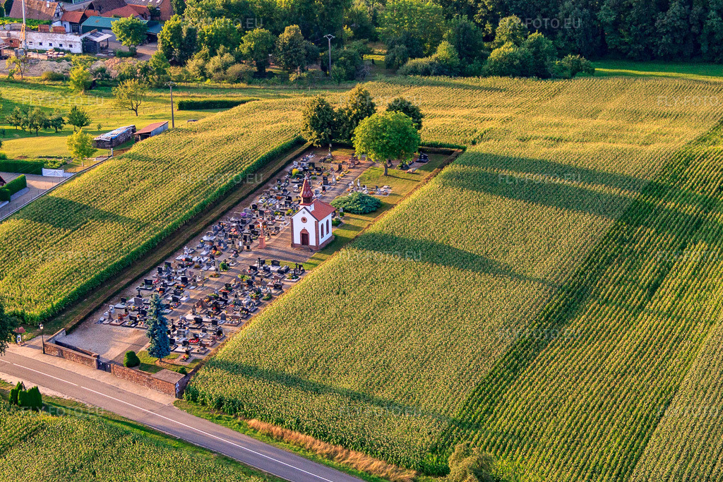 Vue aérienne: Cimetière avec chapelle au milieu des champs de maïs à Salmbach dans le département Bas Rhin, France – .Photo: IMG_59077.jpg prise le 04/08/2013 par Werner Riehm/FLY-FOTO.eu – Résolution de l'original: 4213 x 2809 px