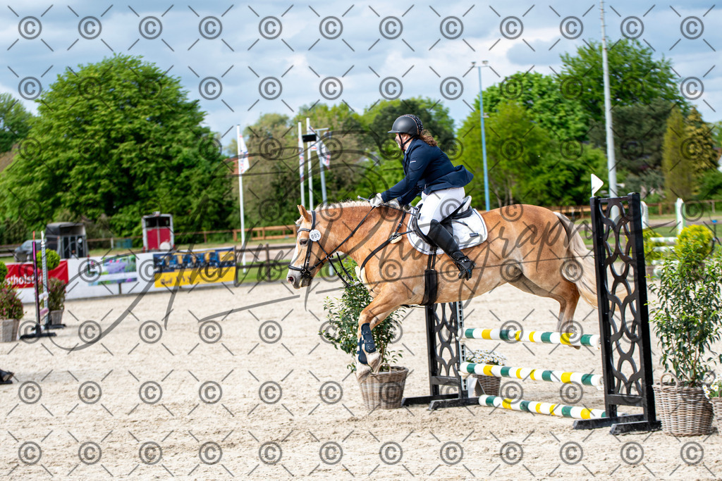 KPT_6694 | andre_photographic