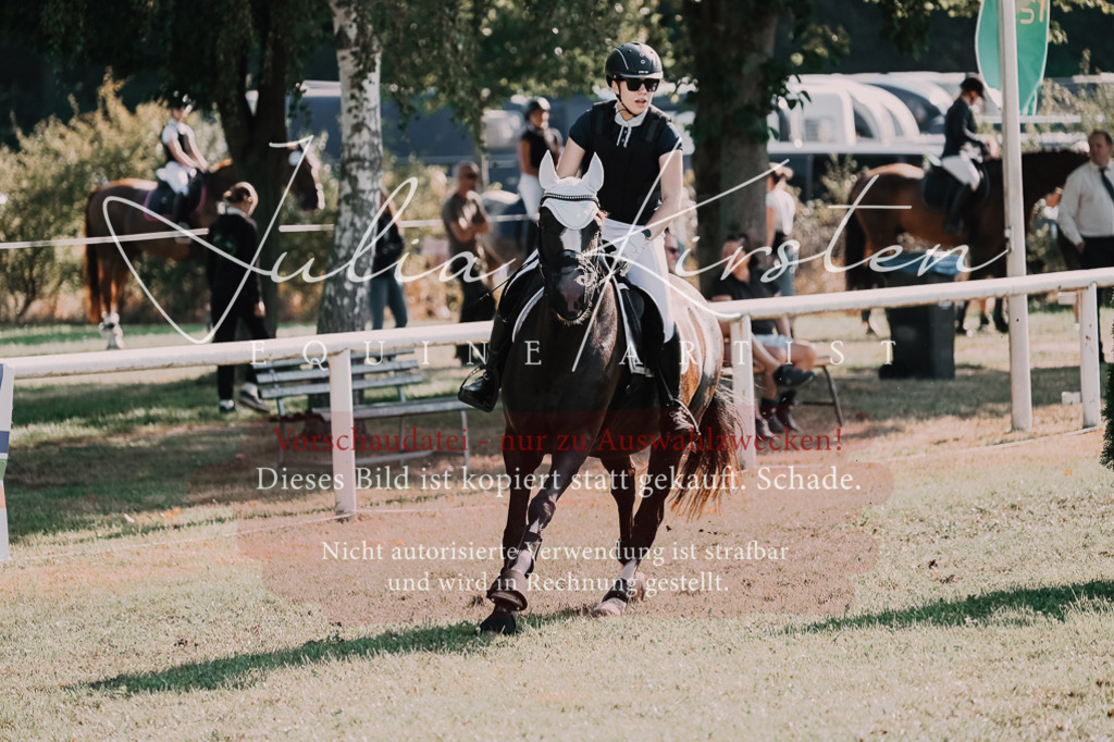 DSC_4826 | Pferde- und Turnierfotografie in Westsachsen. Pferdeportraits, Auftragszeichnungen und intuitive Kunst.
