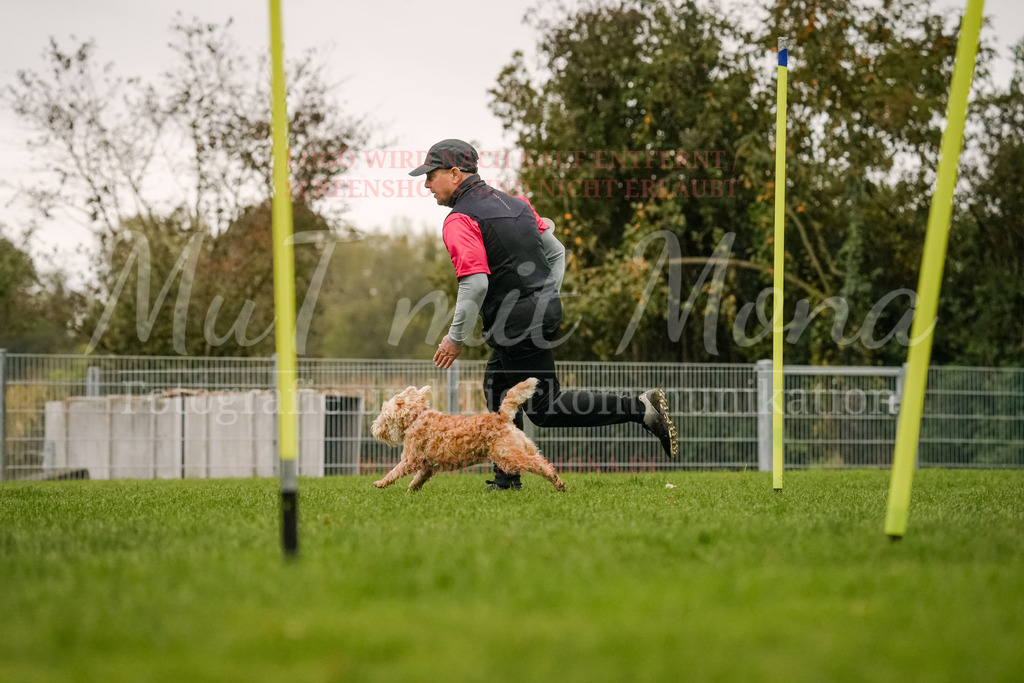 20251005_THS_Turnier-529 | MuT (Mensch und Tier) mit Mona - Fotografie und Tierkommunikation - Realisiert mit Pictrs.com