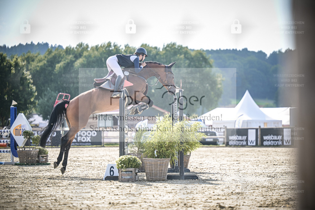 DOS_9720 | Entdecke hochwertige Reitturnierfotos von Foto Oger. Professionell, emotional und authentisch – jetzt Lieblingsmomente im Shop bestellen. - Realisiert mit Pictrs.com